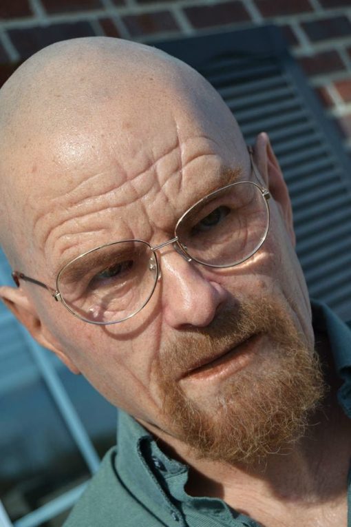 Walter White Disguise Silicone Mask